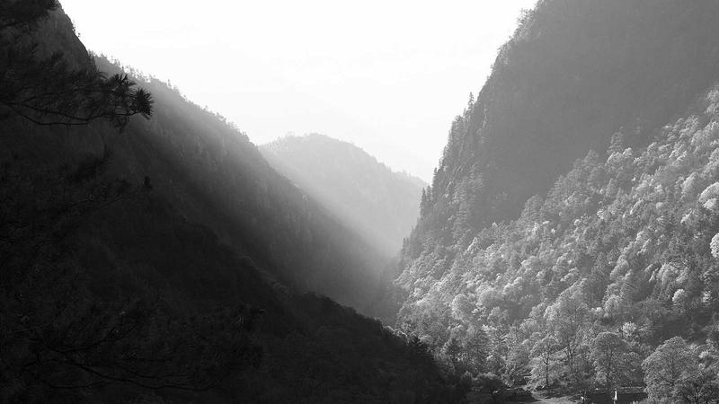 币圈合约交易成功案例 - 量化交易团队